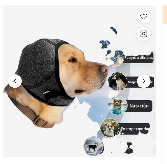 Orejeras antirruido para perros